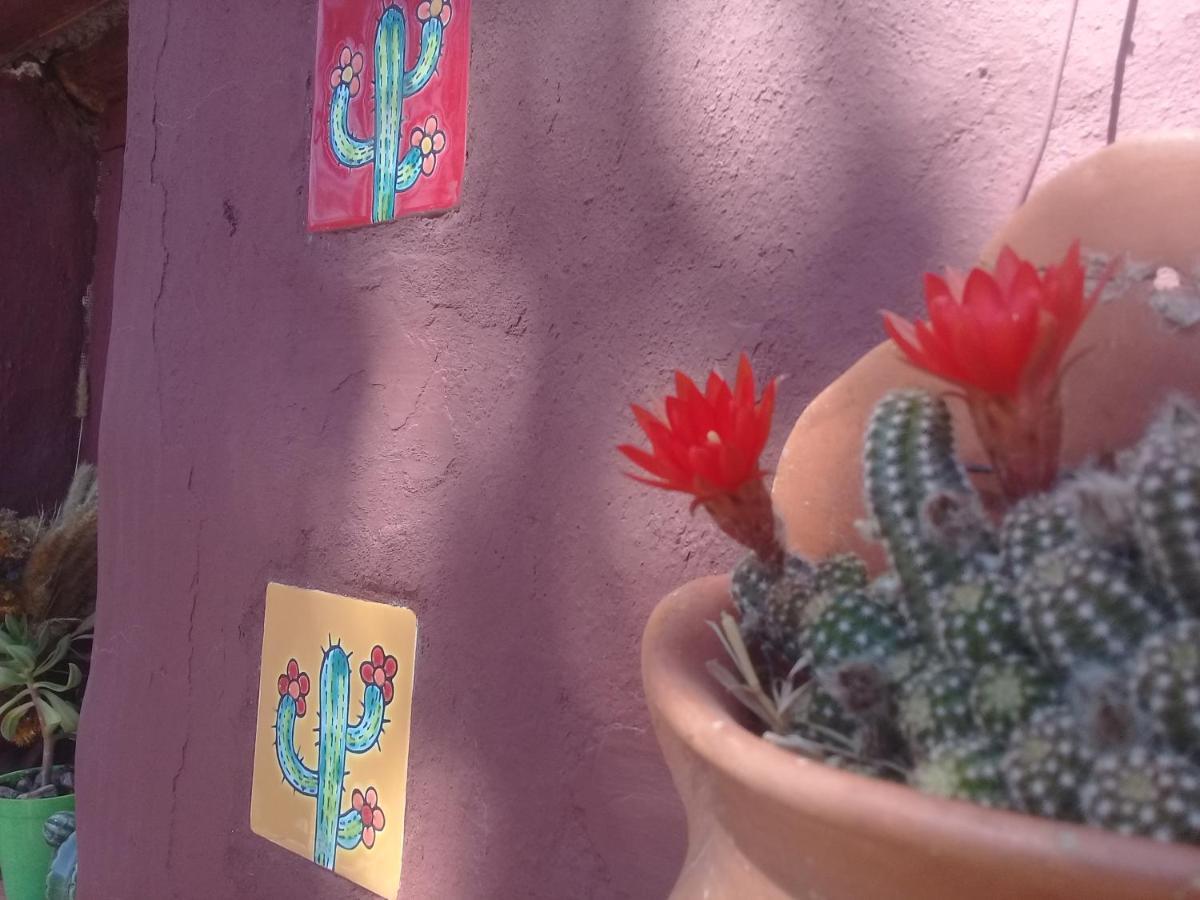 Cabana El Cardon,Casita En El Campo Quebradeno Humahuaca Zewnętrze zdjęcie
