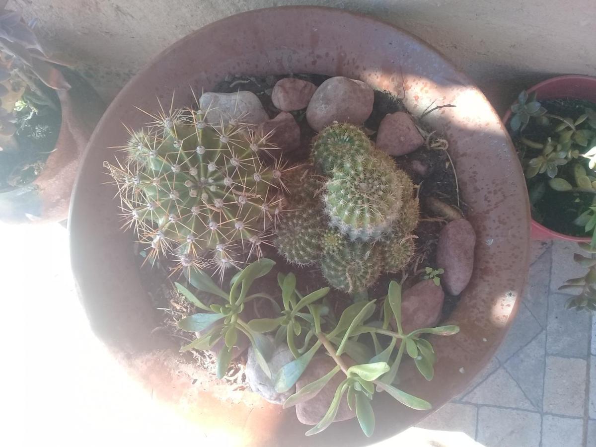 Cabana El Cardon,Casita En El Campo Quebradeno Humahuaca Zewnętrze zdjęcie