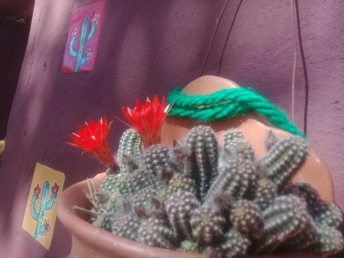 Cabana El Cardon,Casita En El Campo Quebradeno Humahuaca Zewnętrze zdjęcie