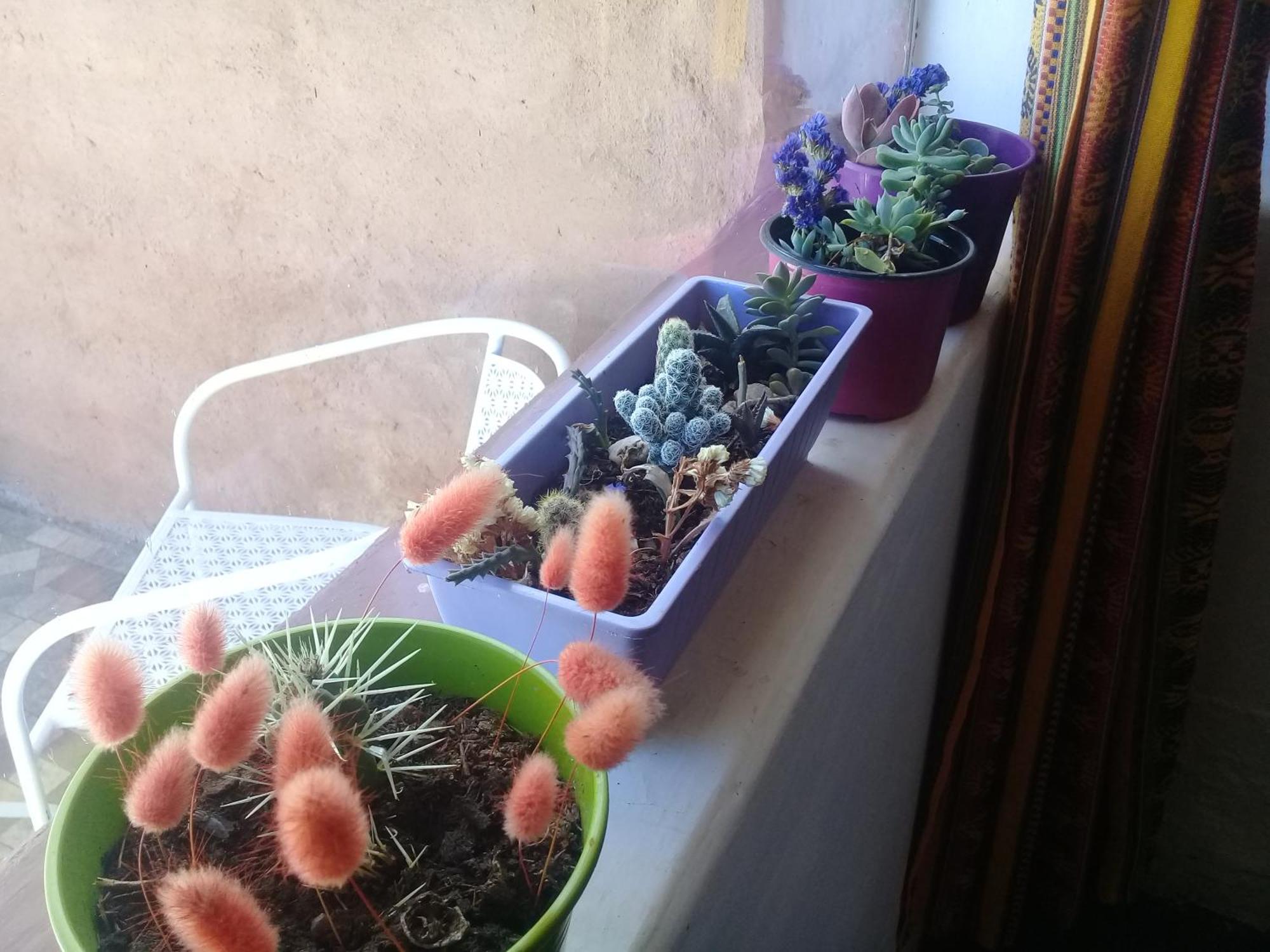 Cabana El Cardon,Casita En El Campo Quebradeno Humahuaca Zewnętrze zdjęcie