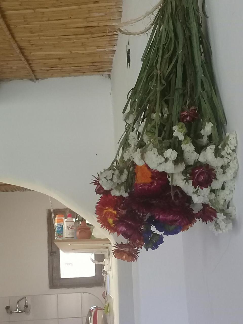 Cabana El Cardon,Casita En El Campo Quebradeno Humahuaca Zewnętrze zdjęcie
