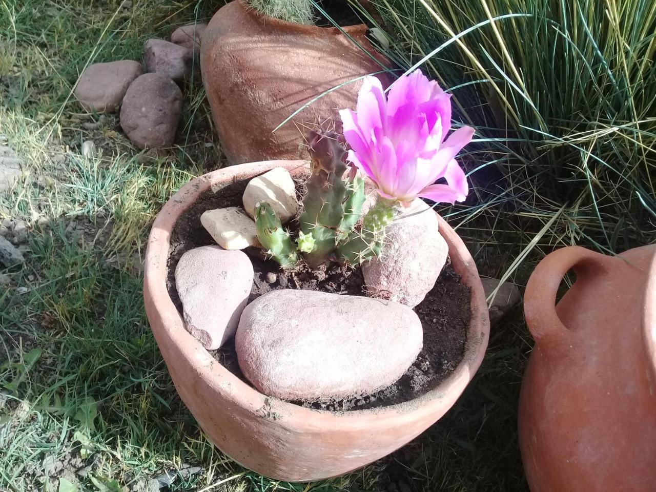 Cabana El Cardon,Casita En El Campo Quebradeno Humahuaca Zewnętrze zdjęcie