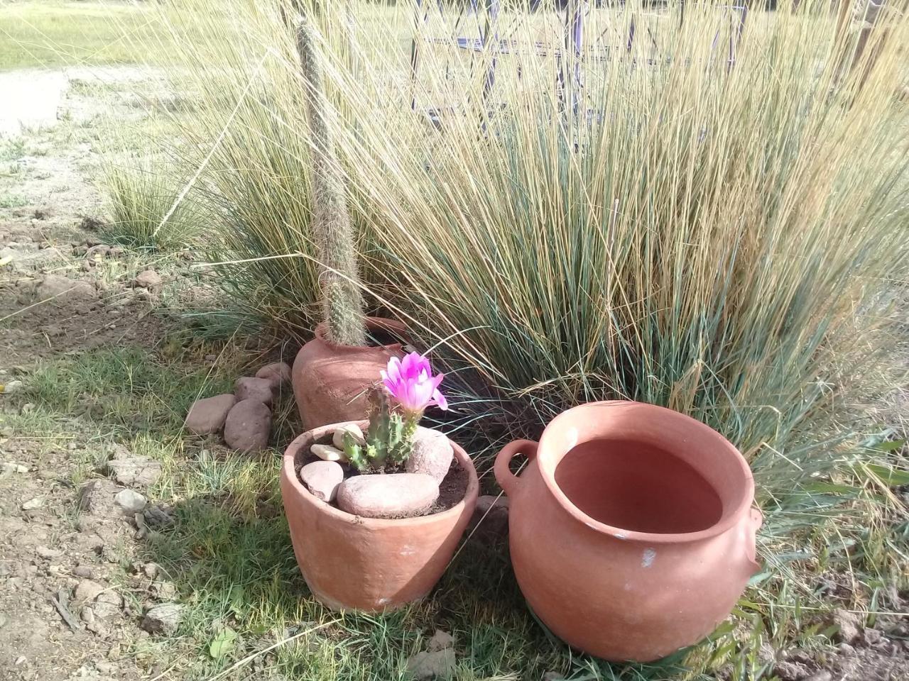 Cabana El Cardon,Casita En El Campo Quebradeno Humahuaca Zewnętrze zdjęcie