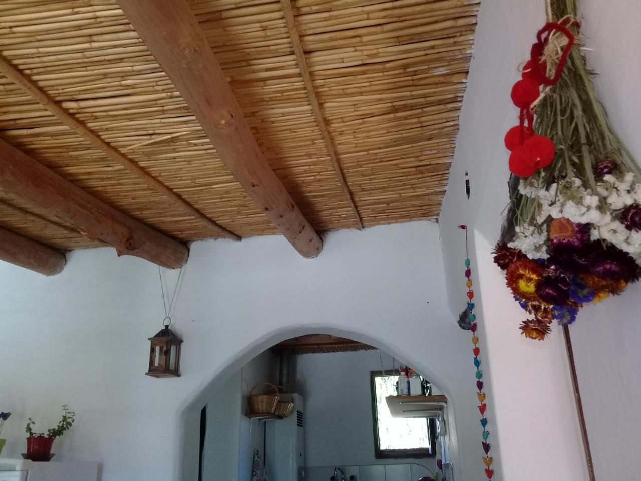 Cabana El Cardon,Casita En El Campo Quebradeno Humahuaca Zewnętrze zdjęcie