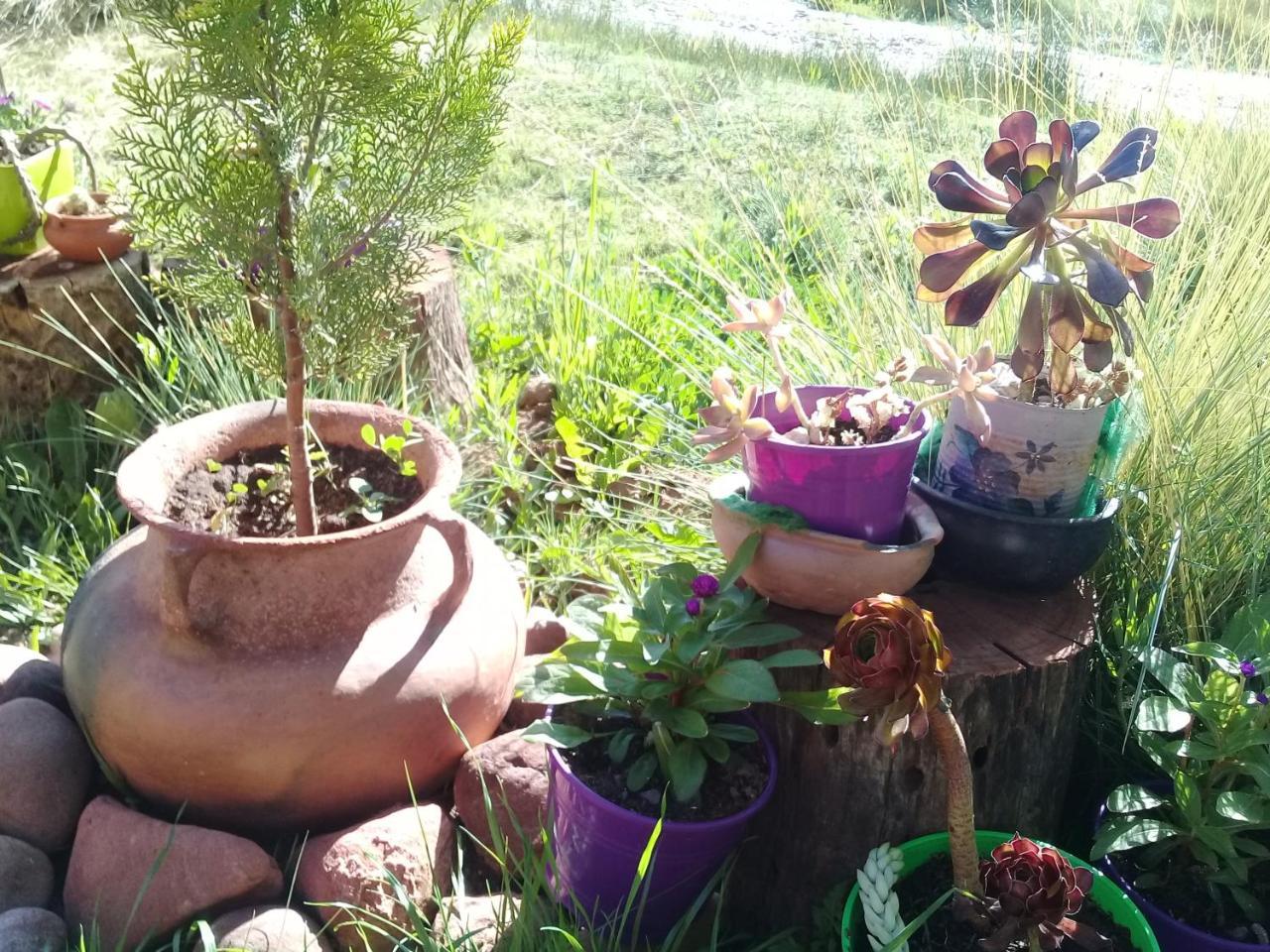 Cabana El Cardon,Casita En El Campo Quebradeno Humahuaca Zewnętrze zdjęcie