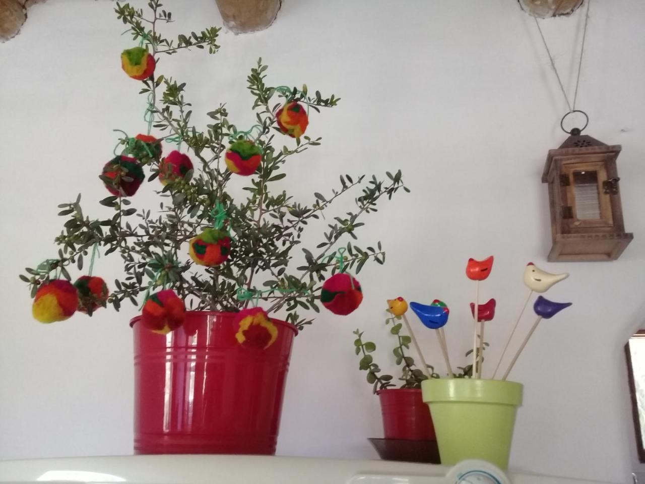 Cabana El Cardon,Casita En El Campo Quebradeno Humahuaca Zewnętrze zdjęcie