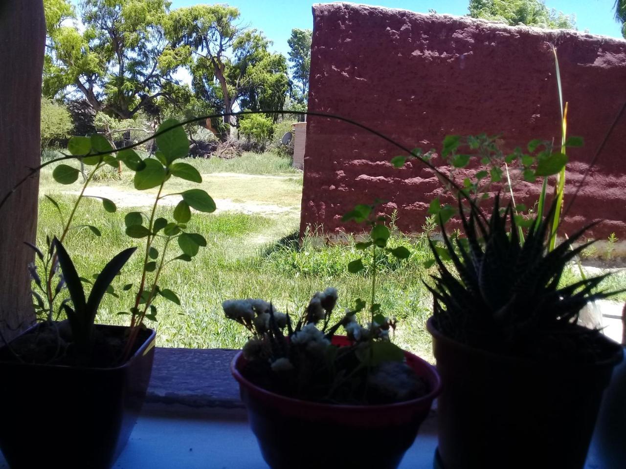 Cabana El Cardon,Casita En El Campo Quebradeno Humahuaca Zewnętrze zdjęcie