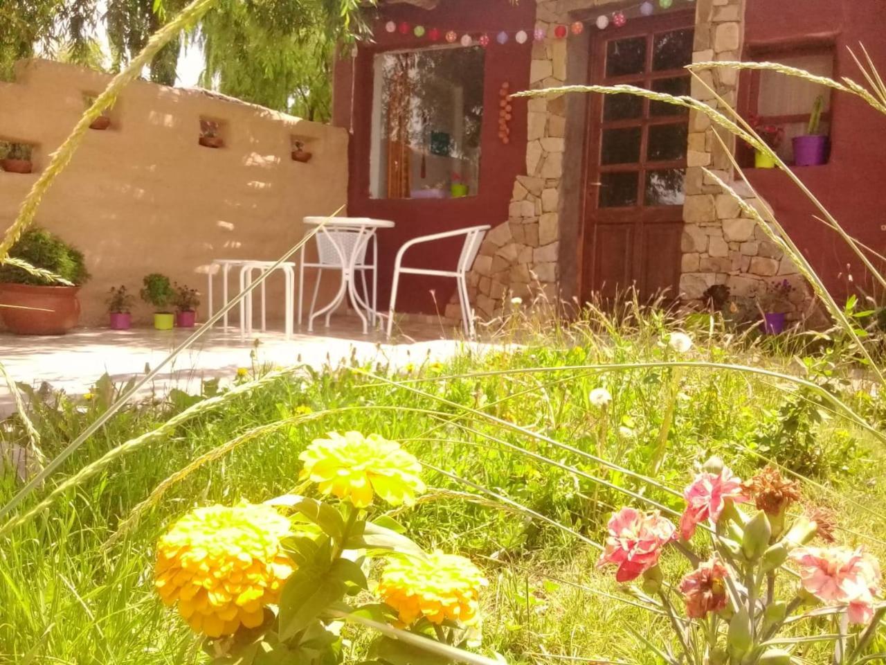 Cabana El Cardon,Casita En El Campo Quebradeno Humahuaca Zewnętrze zdjęcie