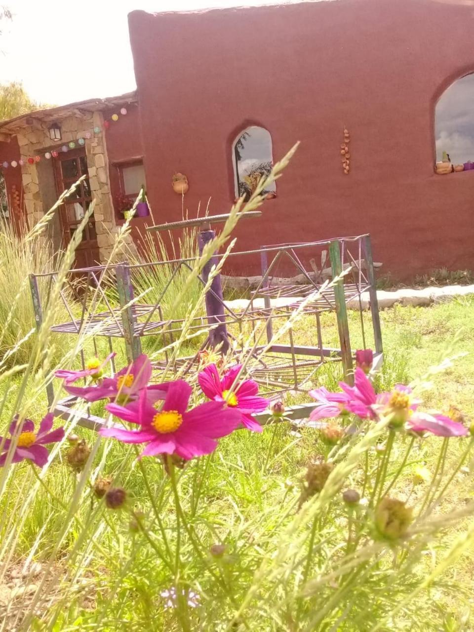 Cabana El Cardon,Casita En El Campo Quebradeno Humahuaca Zewnętrze zdjęcie