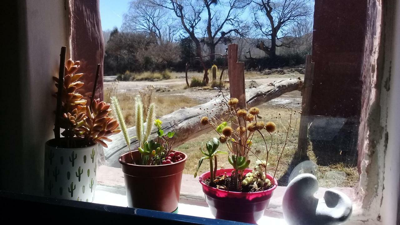 Cabana El Cardon,Casita En El Campo Quebradeno Humahuaca Zewnętrze zdjęcie